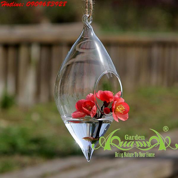 Thủy Tinh Treo AquaGarden_Hạt Dẻ Nhỏ