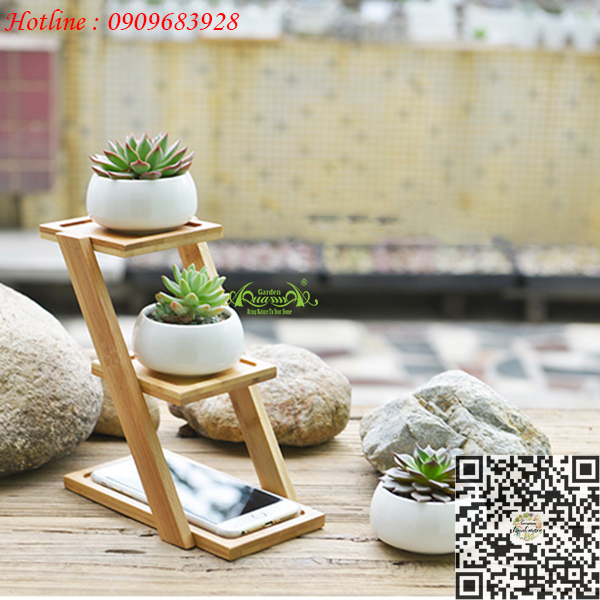 Gốm Bậc Thang Gỗ - Aquagarden