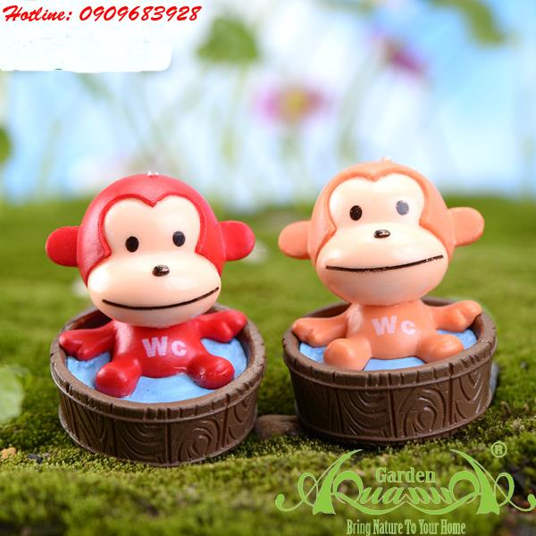 Khỉ Baby - Phụ Kiện AquaGarden