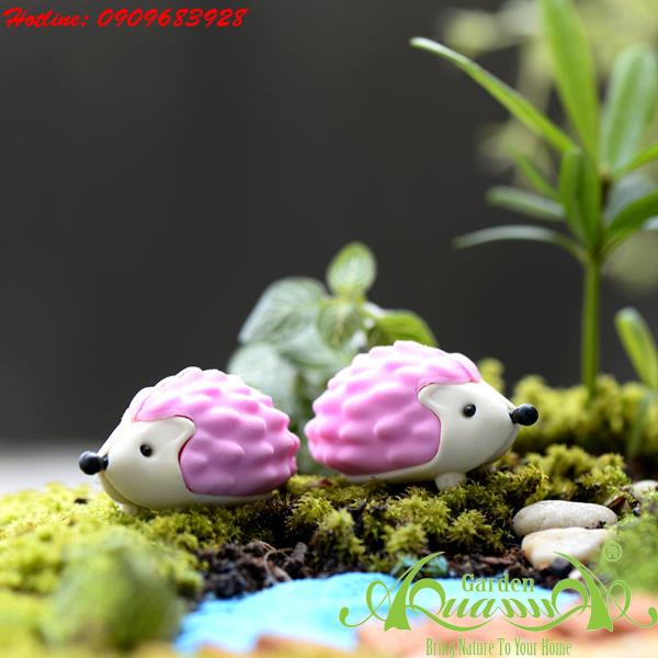 Nhím Hồng - Phụ Kiện AquaGarden