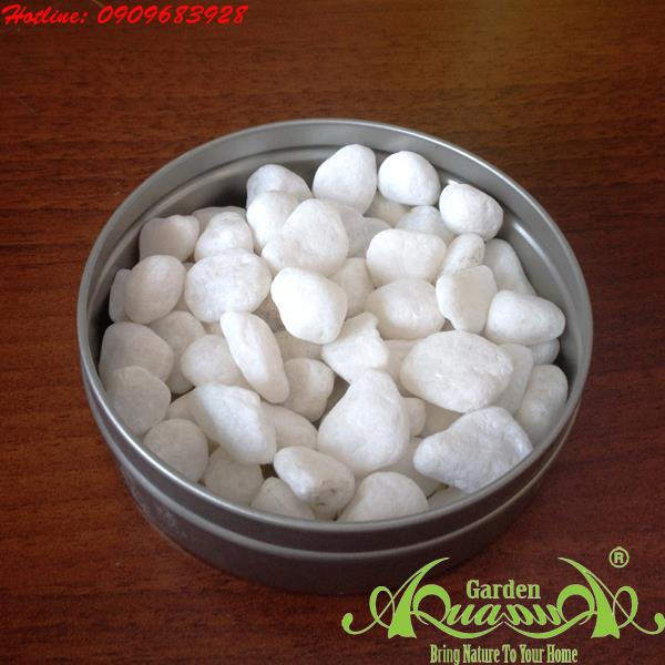 Đá_01 - Phụ kiện AquaGarden.
