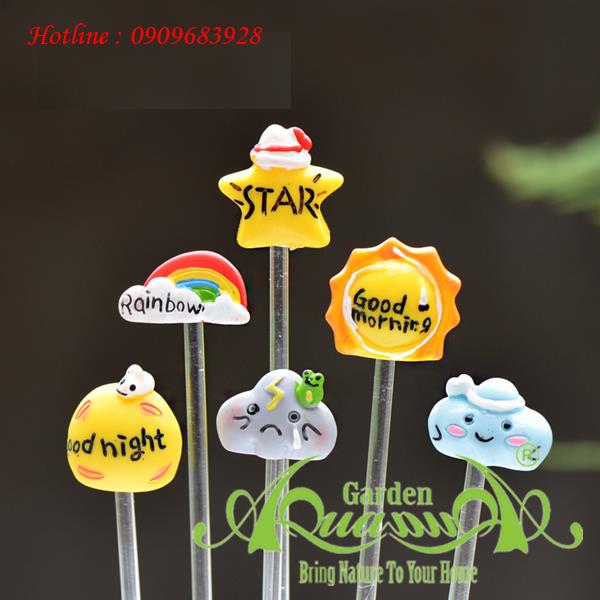 Cây Cắm Mây Trời - Phụ Kiện Aquagarden