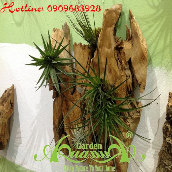 Bộ Không Khí_04