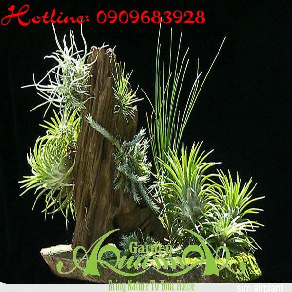 Bộ Không Khí_24