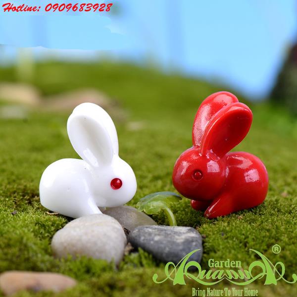 Thỏ - Phụ Kiện AquaGarden