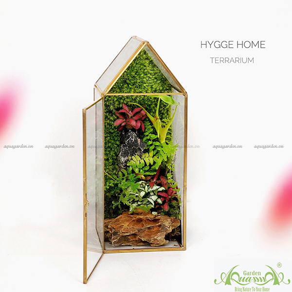 Terrarium - Hygge Home