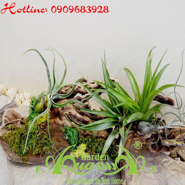 Bộ Không Khí_40