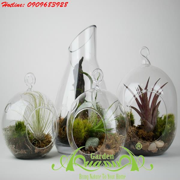 Bộ Không Khí AquaGarden_89