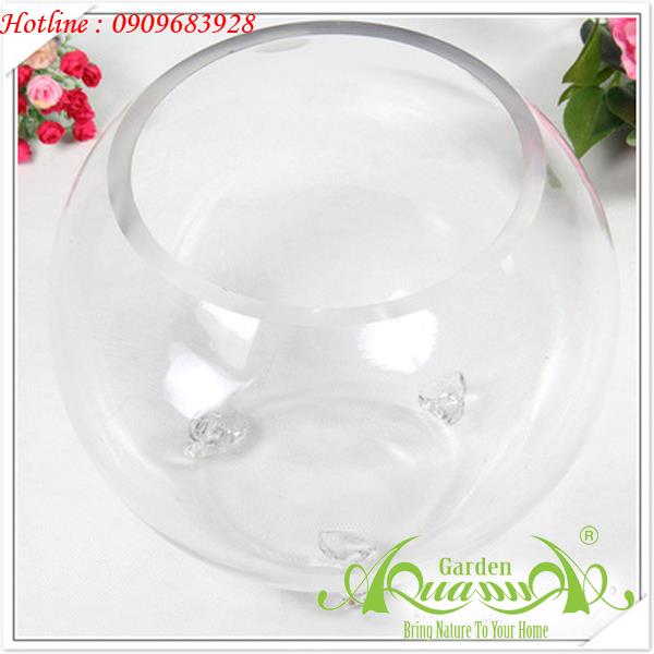 Bầu Cá 3 Chân - Thủy Tinh AquaGarden