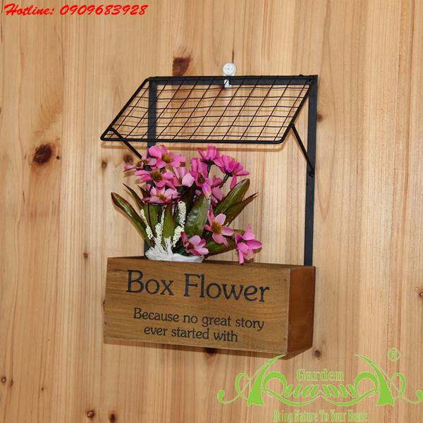 Hộp Gỗ Treo Tường AquaGarden