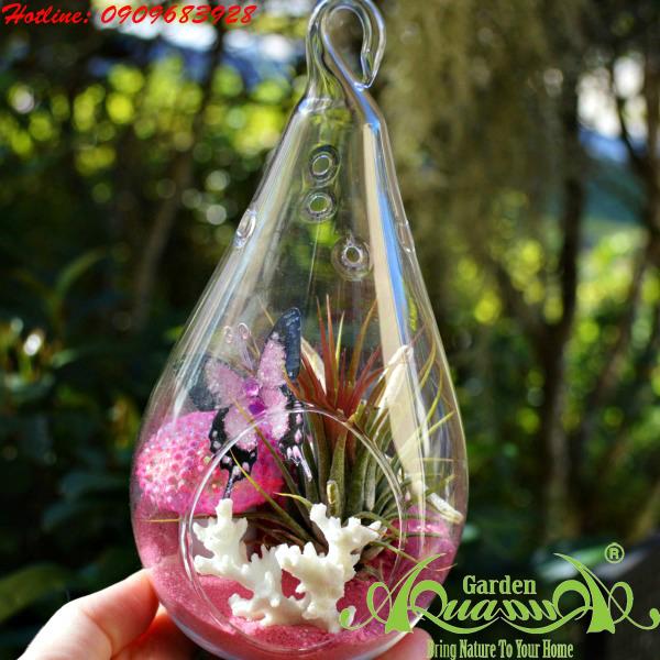 Bộ Không Khí AquaGarden_113
