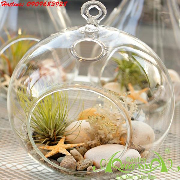 Bộ Không Khí AquaGarden_117