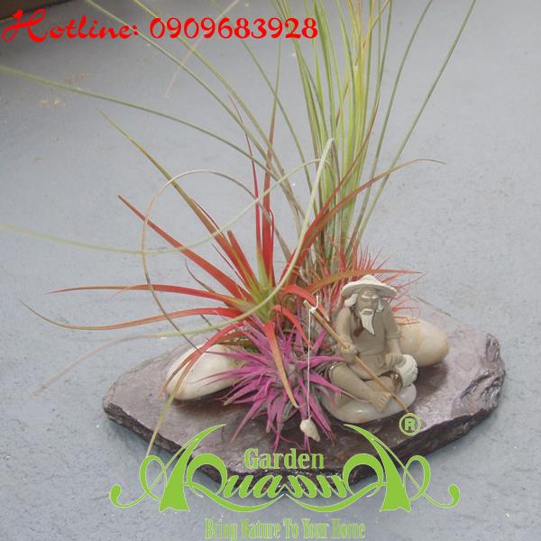 Bộ Không Khí_43