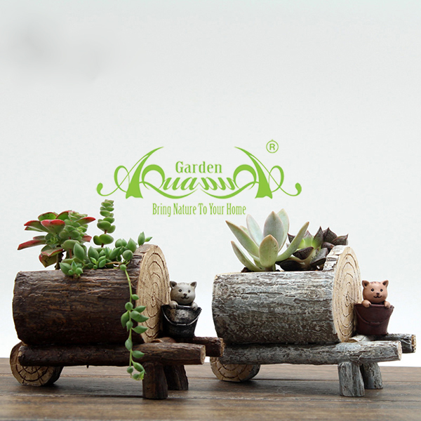 Xe Gấu - Gốm AquaGarden