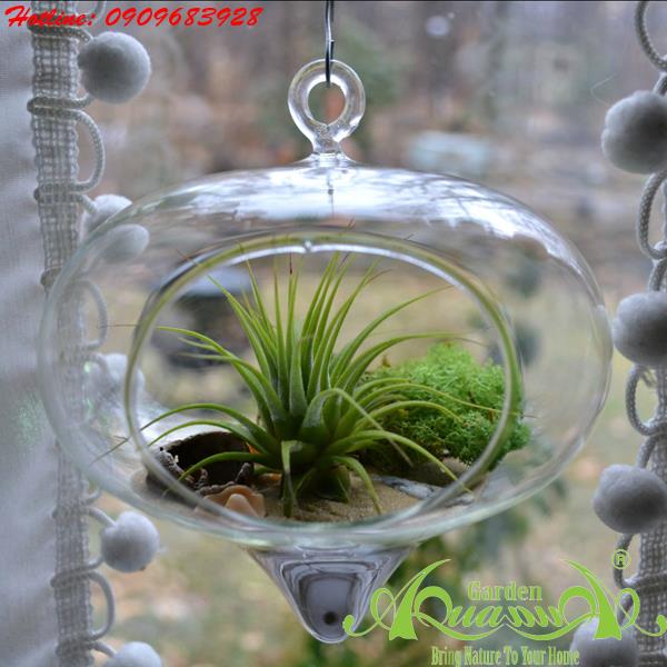 Bộ Không Khí AquaGarden_123