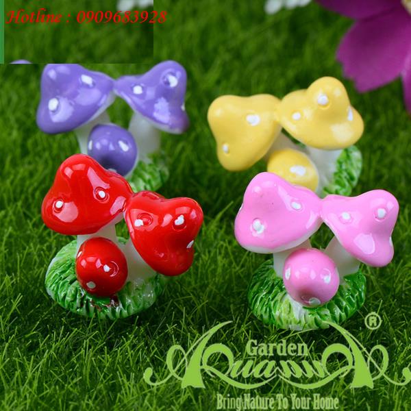 Nấm Cụm - Phụ Kiện Aquagarden