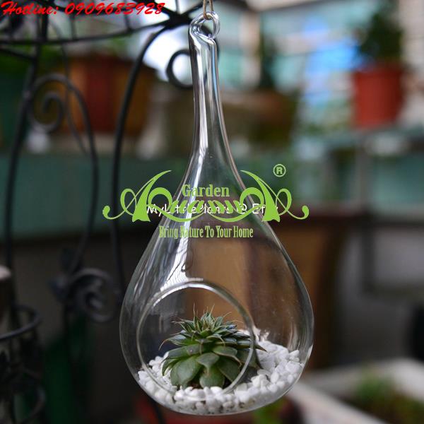 Thủy Tinh Treo AquaGarden_Giọt Nước Treo