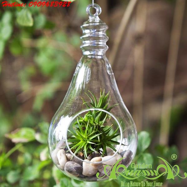 Thủy Tinh Treo AquaGarden_Bóng Đèn 1