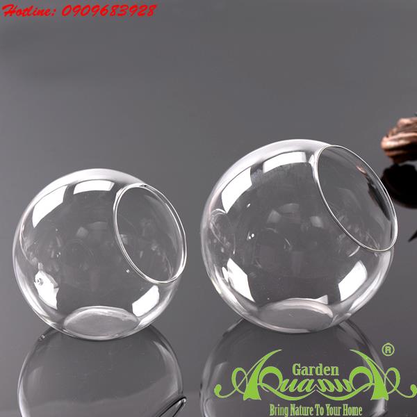 Tròn Miệng Xéo - Thủy Tinh AquaGarden