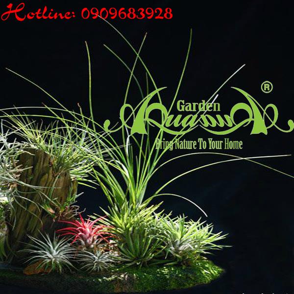 Bộ Không Khí_26