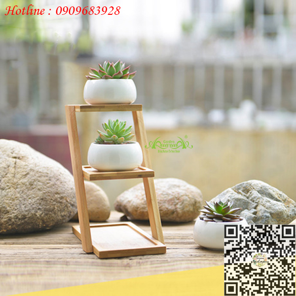 Gốm Bậc Thang Gỗ - Aquagarden