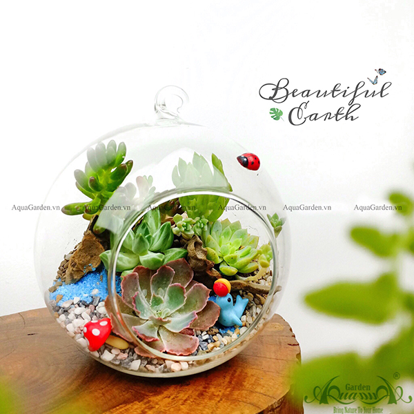 Terrarium 89 - Beautiful Earth