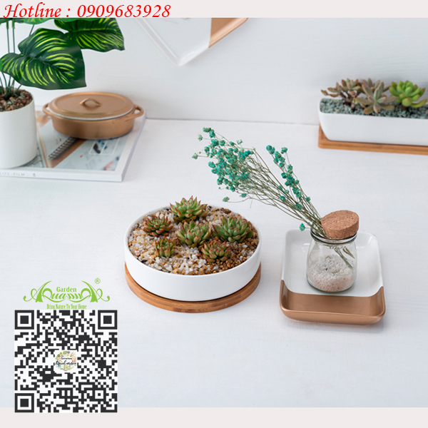Gốm Tròn Dẹp Đế Gỗ - Aquagarden