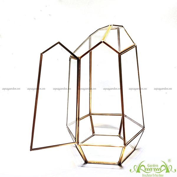 Lục Giác Nắp GOLD - TT Đa Giác