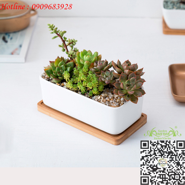 Gốm Chữ Nhật Đế Gỗ - Aquagarden