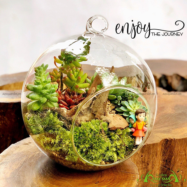 Terrarium 01 - Enjoy The Journey