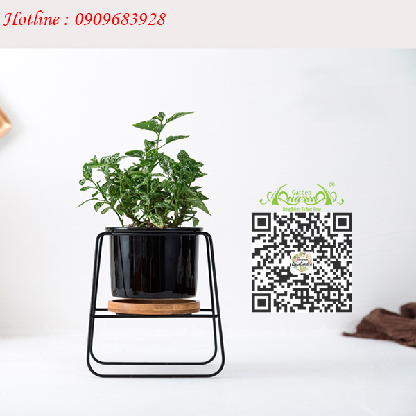 Gốm Khung Sắt Bếp Lò - Aquagarden