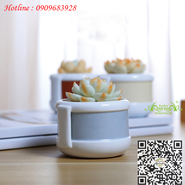 Gốm Cái Ca - Aquagarden