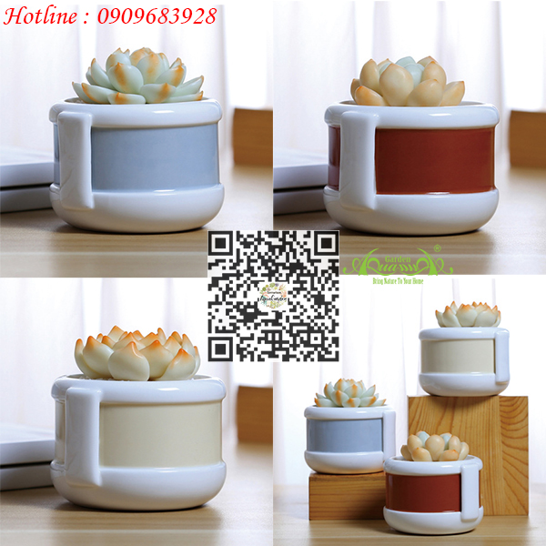 Gốm Cái Ca - Aquagarden