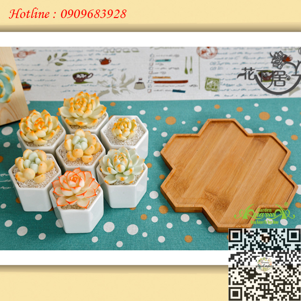 Gốm Lục Giác Đế Gỗ Bộ 7 - Aquagarden