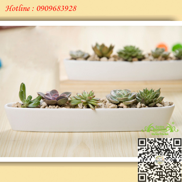 Gốm Thuyền Dẹp Trắng - Gốm Aquagarden