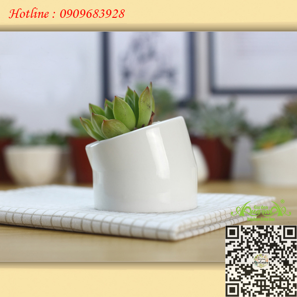 Gốm Trụ Ống uốn Cong Trắng - Aquagarden