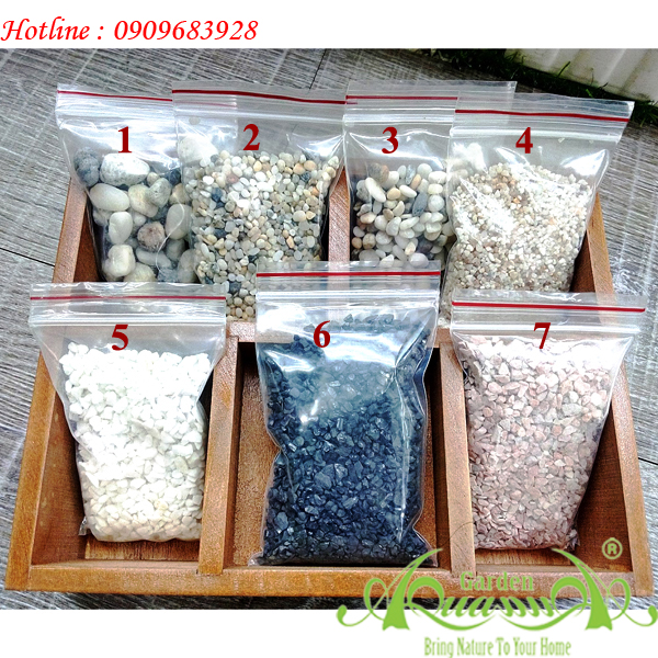 Sỏi - Phụ Kiện Trồng Terrarium AquaGarden