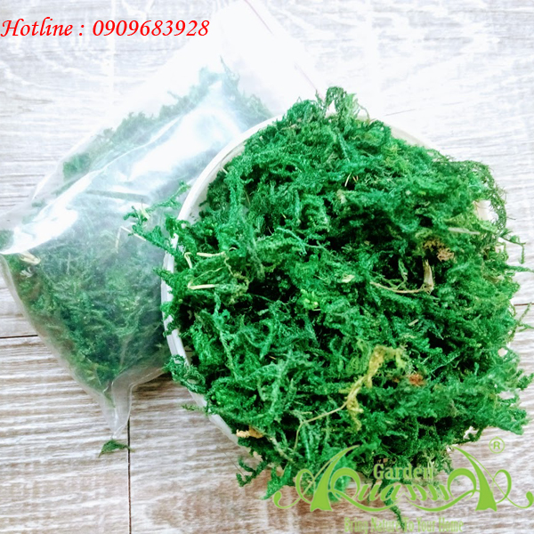 Rêu Giữ Ẩm - Phụ Kiện Trồng Terrarium AquaGarden
