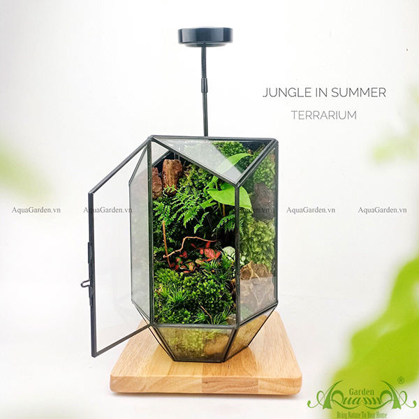 Terrarium - Jungle In Summer