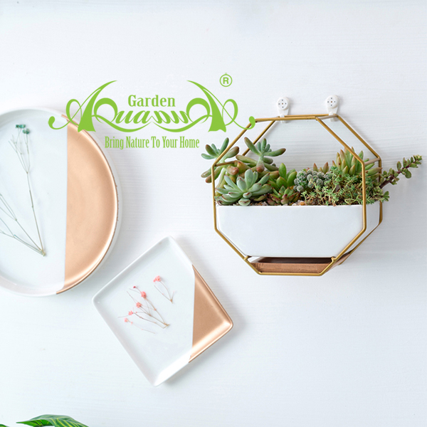 Gốm Khung Sắt Áp Tường - Aquagarden