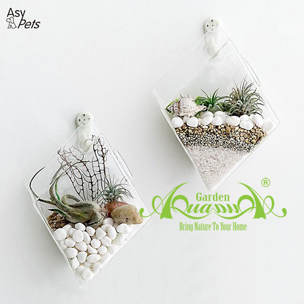 Kim Cương Áp Tường - Thủy Tinh AquaGarden