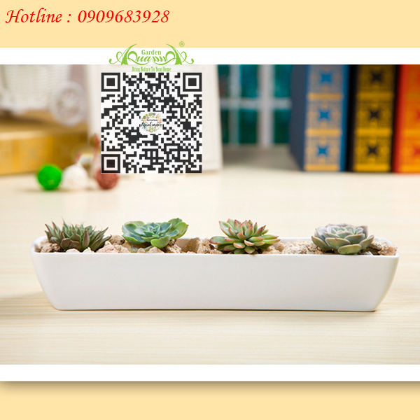 Gốm Thuyền Dài Trắng - Aquagarden