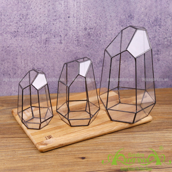 Thủy Tinh Đa Giác AquaGarden
