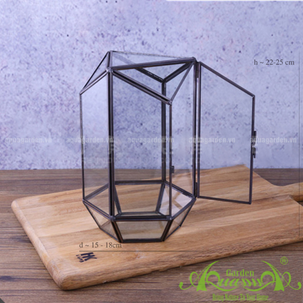 Thủy Tinh Đa Giác AquaGarden