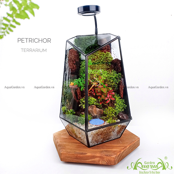 Terrarium - Petrichor