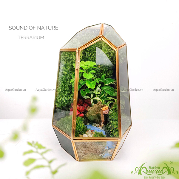 Terrarium - Sound Of Nature