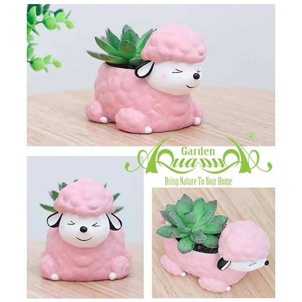 Thú Cừu Hồng - Gốm AquaGarden