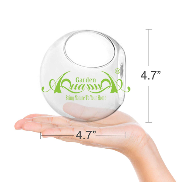 Tròn 12cm Áp Tường - Thủy Tinh AquaGarden