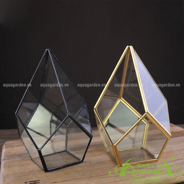 TỨ GIÁC CHÓP GOLD THỦY TINH ĐA GIÁC AQUAGARDEN