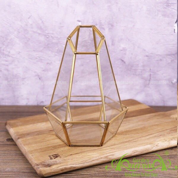 LỤC GIÁC 2 TẦNG GOLD THỦY TINH ĐA GIÁC AQUAGARDEN
